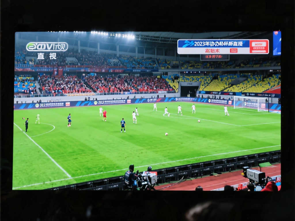 维尼修斯实 维尼修斯实